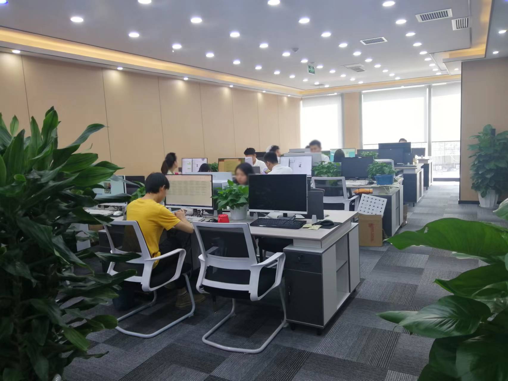 公司环境(图2)
